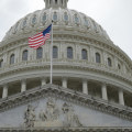 Why does congress have bankruptcy laws?