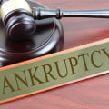 Which branch of government makes bankruptcy laws?